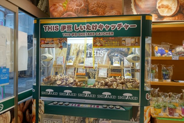 🛍️ 이즈 마을의 역(이즈・무라노에키) 이미지 6